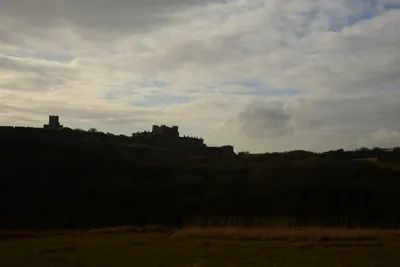 DSC_1320 (Large).JPG